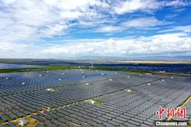 青海“八大绿色产业技术体系”已具雏形图片