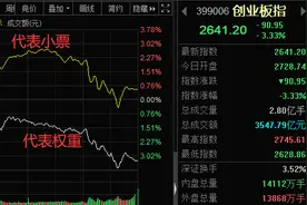 涨停复盘 | 低价股持续遭爆炒，创业板“冰火两重天”图片