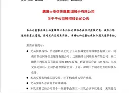 100万卖掉长城宽带等4家子公司，鹏博士遭上交所问询图片