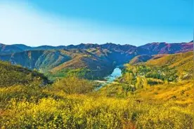 淇竹柏尖山图片