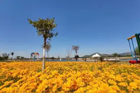 9月10日至12日，曲阜仙河花海教师免费入园游玩图片