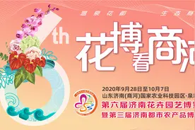 看这里！花博会参观需知和绕行路段来啦图片
