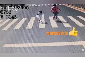 小女孩向礼让司机行公主礼，网友：美丽又有礼貌图片