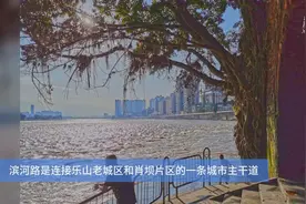 行走乐山最美滨河路 近看大佛远眺峨眉视频封面