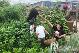 残疾妈妈直播带货 探索发展致富新路图片