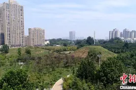 航拍西安闹市区内汉墓群图片