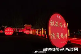 致敬抗疫英雄！致敬抗疫精神！陕西多处地标亮灯图片