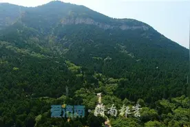 速来围观！济南佛慧山上竟藏了个“松鼠部落”图片