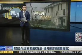 层层介绍喜捡便宜房  谁知竟然暗藏猫腻视频封面