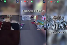 鹤岗“白菜”房背后，自媒体创业者聚集小城谋发展图片