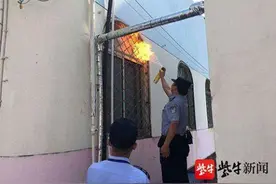 马蜂窝在幼儿园里“安家”派出所民警为师生消除隐患图片
