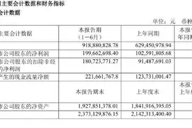 邓伦“破圈”代言火锅底料 明星能否助推传统川味品牌年轻化？图片