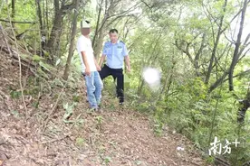 私放野猪夹“咬”人又害已！梅州一村民涉嫌非法狩猎被抓图片