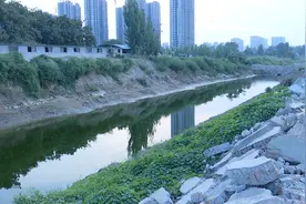 问政追踪｜菏泽立“军令状”治理的黑臭河周边已拆迁146户居民 千米污水管网将铺完图片