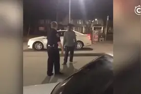 混乱！美警抓人被按着打 黑人路见不平暴揍嫌犯 却被警察一把推开图片