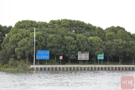 小切口看长三角丨砖窑变身文化馆，祝家甸火了｜行走三极 成渝问道（27）图片