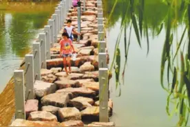 甘泉河湿地露芳容图片