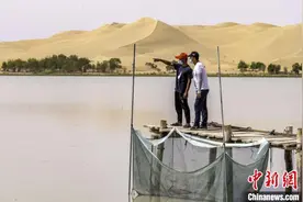 新疆“死亡之海”爬出大螃蟹图片