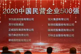中国民营企业500强榜单发布 华为第一苏宁第二图片