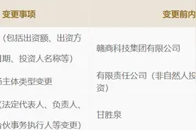 江西赛维何去何从？重整两年后甘胜泉退出股权，仍在寻求上市图片