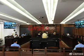 11岁女孩去同学家玩被杀害，凶手竟是同学母亲的男友图片