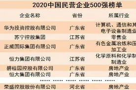 荣盛位列中国民企500强第78位 排名前进12位图片