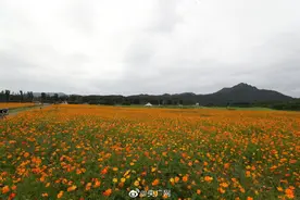 这样的美丽乡村，你想来吗？图片