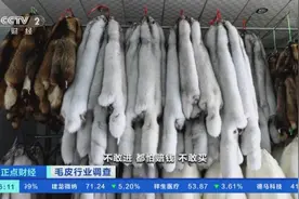 7年降6成！曾经2万元一件，如今7000多就能买到！这种“软黄金”为啥卖不上价了？图片