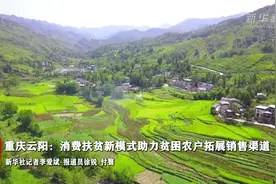 重庆云阳：消费扶贫新模式助力贫困农户拓展销售渠道视频封面