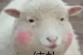 爱的魔力转圈圈图片