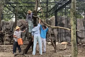 动物乔迁新居，“西郊公园”添新展馆图片
