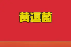 消防教育短片——消防知识很重要视频封面