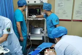 紧急提醒！广州一男子被这种虫咬后严重休克，差点丧命图片