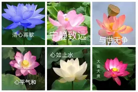 给糖就不闹、坐在豪车里的美人…可可爱爱中老年微信名大赏，是我妈没错了图片