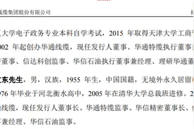 华通线缆突击引入多名外部股东，实控人仅10万元买断校办厂存争议图片