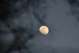 宋词做馅、花窗为皮，尝一口宋时的风雅中秋图片