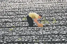金融扶贫，银行业给力图片