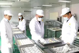 全国首创！零下40℃的嵊州“生胚小笼包”图片