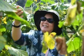 湖州美丽山乡发展现代化养老产业，让乡村“热”起来图片