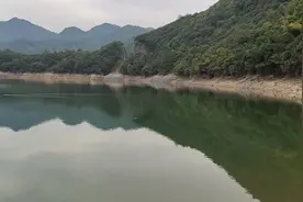垂钓野河，下杆就有口，秒切使我一直坚持图片