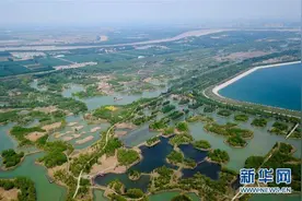 假期临近，济西湿地又又又被传开园？济南城建集团回应了图片