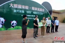 4只“国宝”大熊猫落户山东德州图片