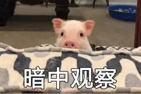 女子剁猪骨时划伤手指，却患上罕见病！全球仅450例图片