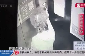 小区电梯监控拍下这一幕，业主群里炸锅了！当事人主动现身图片