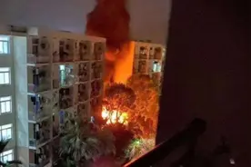 上海大学一宿舍楼凌晨突发火灾 消防：系露天堆放的垃圾桶起火图片