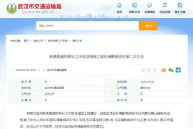 安排了！湖北将再添2座长江大桥图片