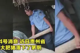 这条有味道的新闻，令我们肃然起敬图片