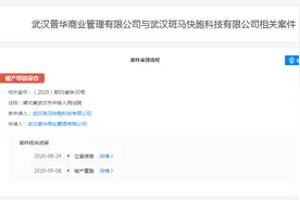 斑马快跑破产重整申请获法院受理 创始人李佳已被限制高消费图片