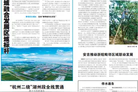 都市圈高水平小康样本镇街巡礼③海宁尖山新区（黄湾镇）：擘画镇域融合发展区域标杆图片