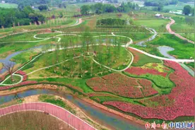 四川青神：加快建成国际竹艺名城图片
